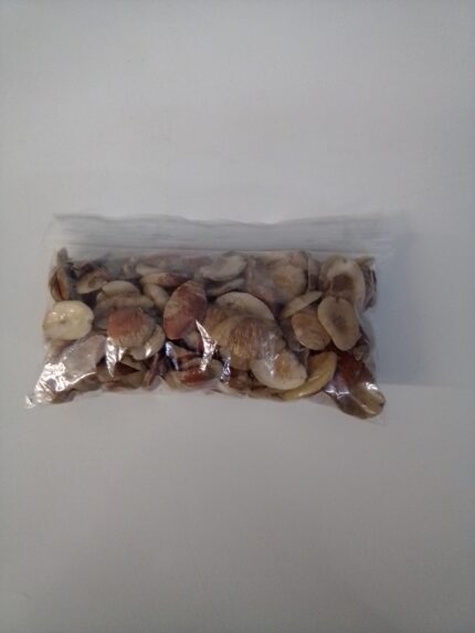 Dry Ogbono Seeds